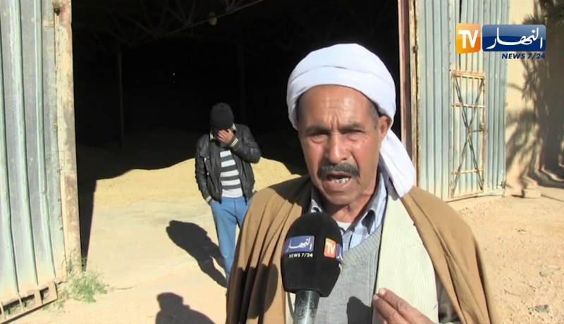 بسكرة: موالون يمنعون من الشعير ومخازن ممتلئة يهددها التسوس