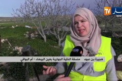 أم البواقي: إطلاق برنامج تربية الحيوانات الصغيرة بالوسط الريفي