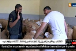 أضحى 2018: الفايسبوك.. معيّن الموّالين لبيع أضاحهم