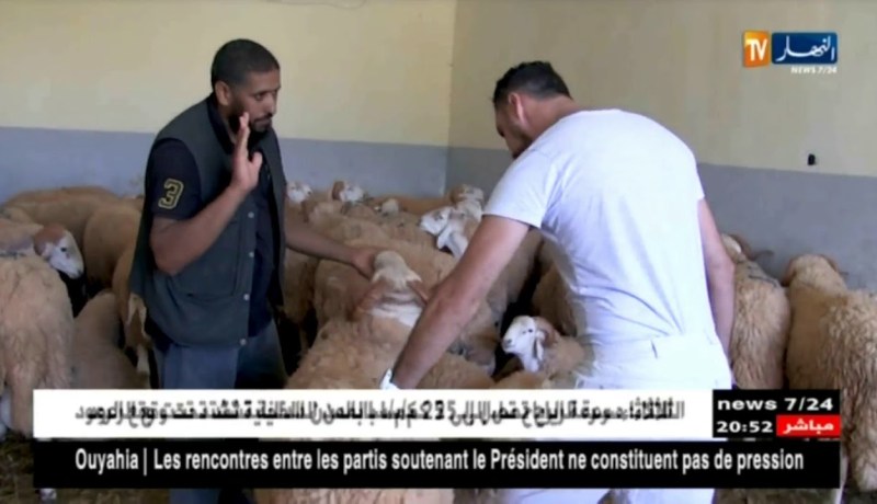 أضحى 2018: الفايسبوك.. معيّن الموّالين لبيع أضاحهم