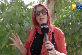 معسكر: حديقة بني شقران.. من وكر للمنحرفين إلى مساحة خضراء رائعة