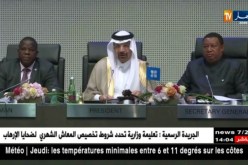 الكانغو: تشاد وماليزيا تقدمت بطلبات الإنضمام إلى منظمة أوبك