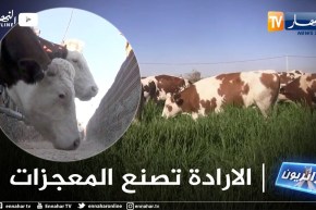 جزائريون: المستثمر حسن..  إرادة تحدت الصعاب