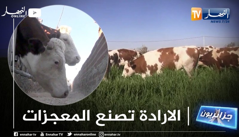 جزائريون: المستثمر حسن..  إرادة تحدت الصعاب