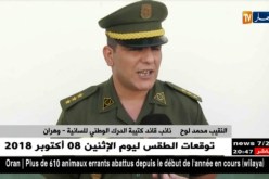 وهران: مداهمة 4 مذابح سرية وحجز أكثر من 5 قناطير من اللحوم البيضاء الفاسدة