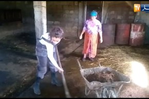 تيزي وزو: شابة تخلت عن دراستها لإنقاذ عائلتها من الفقر