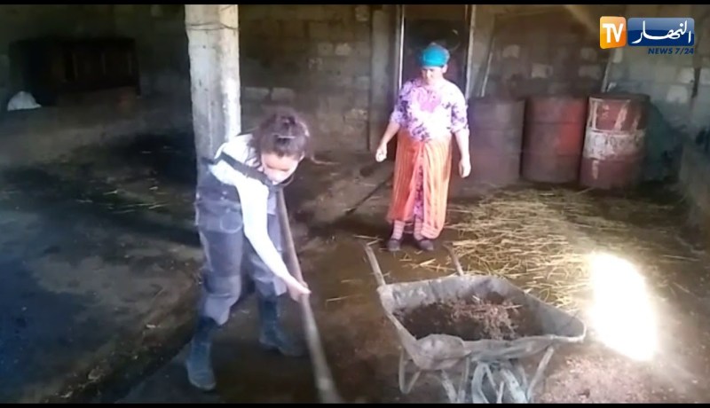 تيزي وزو: شابة تخلت عن دراستها لإنقاذ عائلتها من الفقر