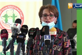 وزيرة الثقافة: علينا العمل وبذل الجهد لتستمر الطفولة حية ومتجددة وقادرة على تحقيق الأمل المرجو