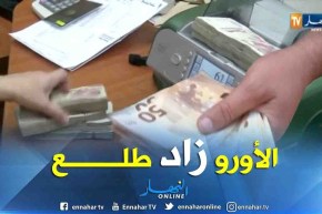 سعر الأورو بأزيد من 213 دينار بالسوق الموازية.. العملة الوطنية تحتضر