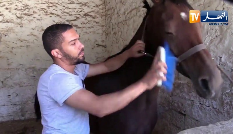 تيارت: عدم صب أجور العمال يهدد مركز الديوان الوطني لتنمية تربية الخيول والإبل