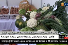 الوادي: المتعاملون الإقتصاديون يتكفلون بتهيئة محطة الشحن بالمعايير العالمية