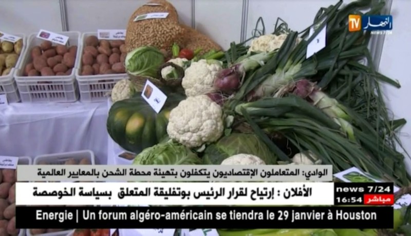 الوادي: المتعاملون الإقتصاديون يتكفلون بتهيئة محطة الشحن بالمعايير العالمية