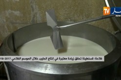 الفترة الإنتقالية في الجزائر.. هكذا تتم العملية