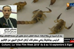 بعد أن تسببت في وفاة أستاذة ..لسعات العقارب تدخل طفلين إلى مصحة الإنعاش بورقلة