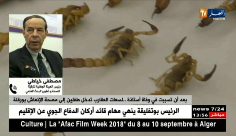 بعد أن تسببت في وفاة أستاذة ..لسعات العقارب تدخل طفلين إلى مصحة الإنعاش بورقلة