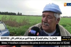 وهران/ سيول الأمطار المختلطة بمياه الصرف الصحي تسبب خسائر للفلاحين