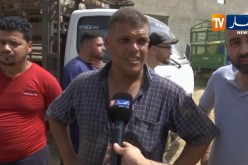 تجارة: عشر أيام قبل عيد الأضحى.. هذه هي أسعار الكباش