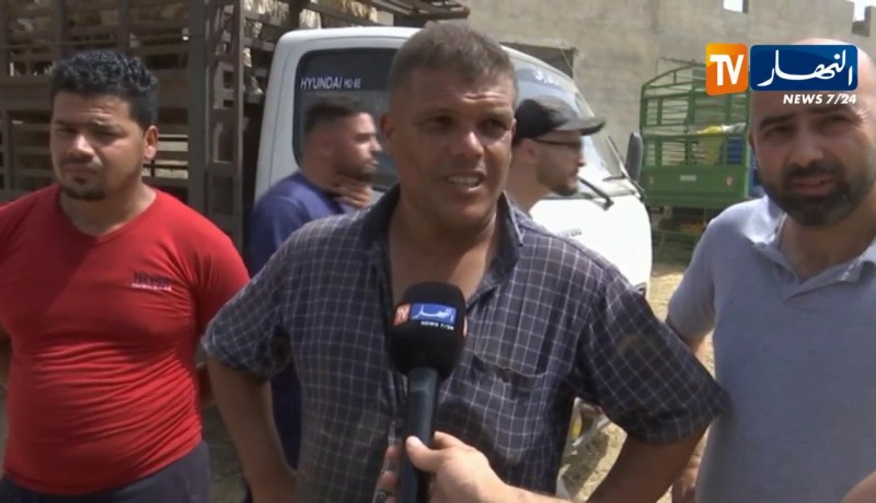 تجارة: عشر أيام قبل عيد الأضحى.. هذه هي أسعار الكباش