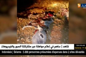 أم البواقي: التحقيقات متواصلة للكشف عن آثار لحوم الحمير بعد ظهور أحشائها