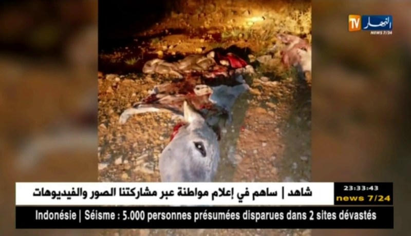 أم البواقي: التحقيقات متواصلة للكشف عن آثار لحوم الحمير بعد ظهور أحشائها