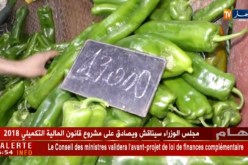 المستهلك: آراء المواطنين حول أسعار الخضر …