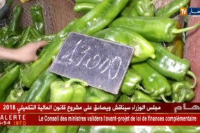 المستهلك: آراء المواطنين حول أسعار الخضر …