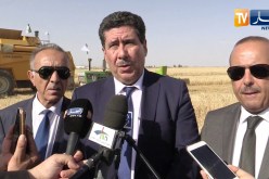 باتنة : وزير الفلاحة يعطي إشارة إنطلاق حملة الحصاد والدّرس