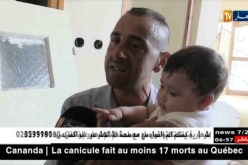 العاصمة: إنطلاق العملية24 للترحيل.. سكان برج الكيفان يرون النور..!