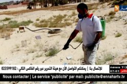 صحة: وفيات بسبب لسعات العقارب في الجزائر..متى سينتهي الكابوس..؟