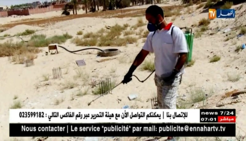 صحة: وفيات بسبب لسعات العقارب في الجزائر..متى سينتهي الكابوس..؟