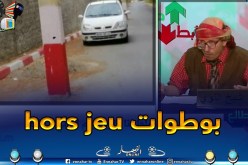 طالع هابط: الشيخ النوي يكشف عن فضيحة الأعمدة الكهربائية  ببوسماعيل ويقصف مدير سونلغاز