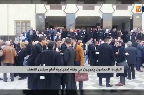 البليدة/ المحامون في وقفة إحتجاجية أمام مجلس قضاء الولاية