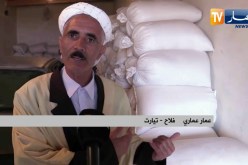 تيارت: شح الأمطار يأخر إنطلاق حملة الحرث والبذر والفلاحون متخوفون