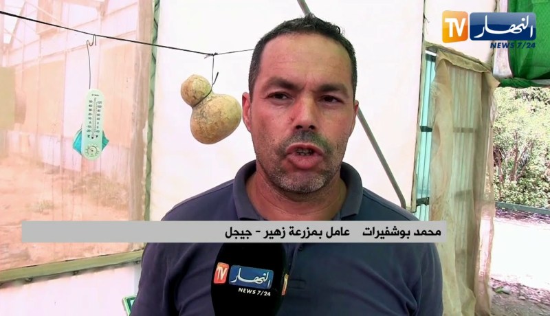 جيجل: زهير..  من مخترع مدفأة إلى زراعة 400 شجرة من ثمرة الكيوي