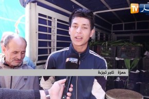 بعضها نزل سعره لأقل من 10 دج .. خضر ترمى في أسواق الجملة !