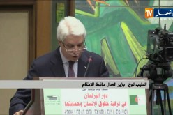 لوح: “تم فتح تحقيق في 67 قضية تخض وقائع إعتداء على جزائريين في الخارج”