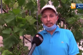 أم البواقي: أحمد..  مدون يدعم أبطال الجيش الأبيض بمعنويات مرتفعة