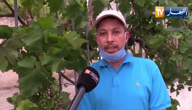 أم البواقي: أحمد..  مدون يدعم أبطال الجيش الأبيض بمعنويات مرتفعة