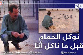 سعيدة: عبد القادر..متقاعد سخر وقته لإطعام الحمام يوميا