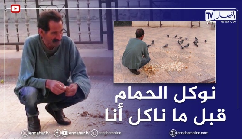 سعيدة: عبد القادر..متقاعد سخر وقته لإطعام الحمام يوميا