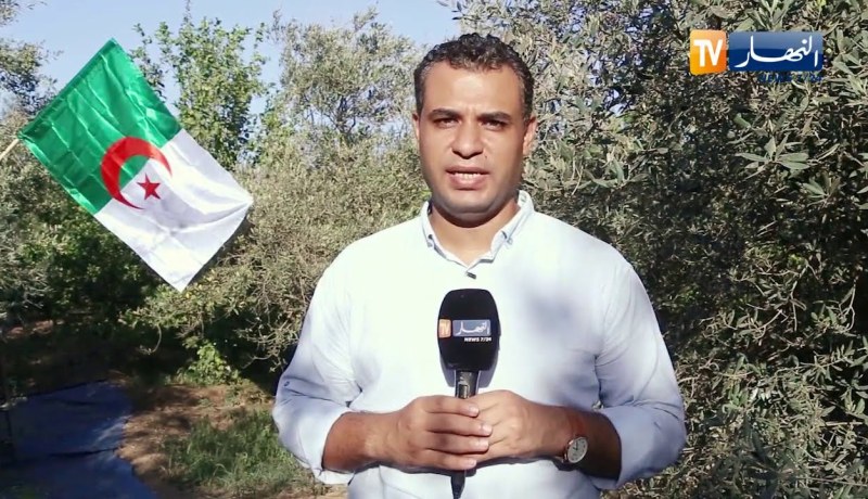فلسطين: إنطلاق موسم جني الزيتون .. الجزائر حاضرة بدعمها وعطائها
