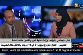 إنزال دبلوماسي بالجزائر…وزراء الداخلية العرب يناقشون ملفات الساعة