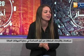 ياسمين .. قصة شابة تكافح من اجل سلامة الحيوانات