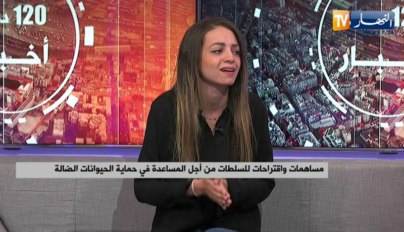 ياسمين .. قصة شابة تكافح من اجل سلامة الحيوانات