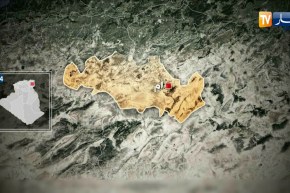 أم البواقي: حجز 1500 علبة من السجائر المهربة أجنبية المصدر