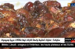 الوادي: الوزوازة.. مشروب مبتكر لمجابهة العطش بفصل الصيف