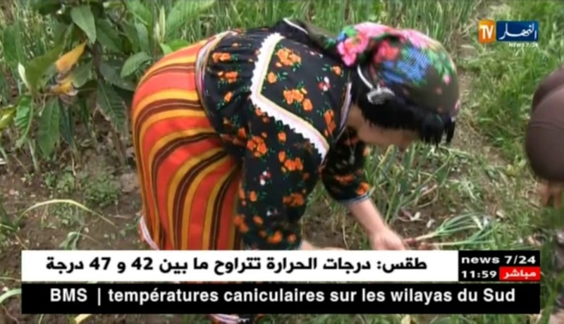 تيزي وزو: سكان قرى آيت خليلي يفضلون التمسك بأرضهم على العيش في المدن