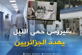 صحة : حمى النيل الغربي فيروس جديد يهدد حياة الجزائريين والوزارة الوصية تتأهب