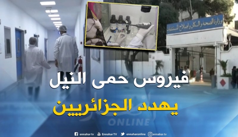 صحة : حمى النيل الغربي فيروس جديد يهدد حياة الجزائريين والوزارة الوصية تتأهب