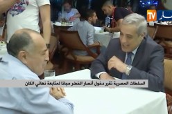السلطات المصرية تقرر إدخال أنصار الخضر مجانا لمتابعة نهائي الكان